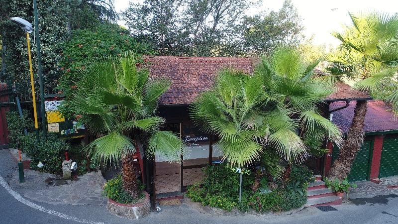 Seven Hills Village 4
