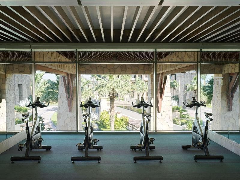 Sofitel Dubai The Palm Resort And Spa 4