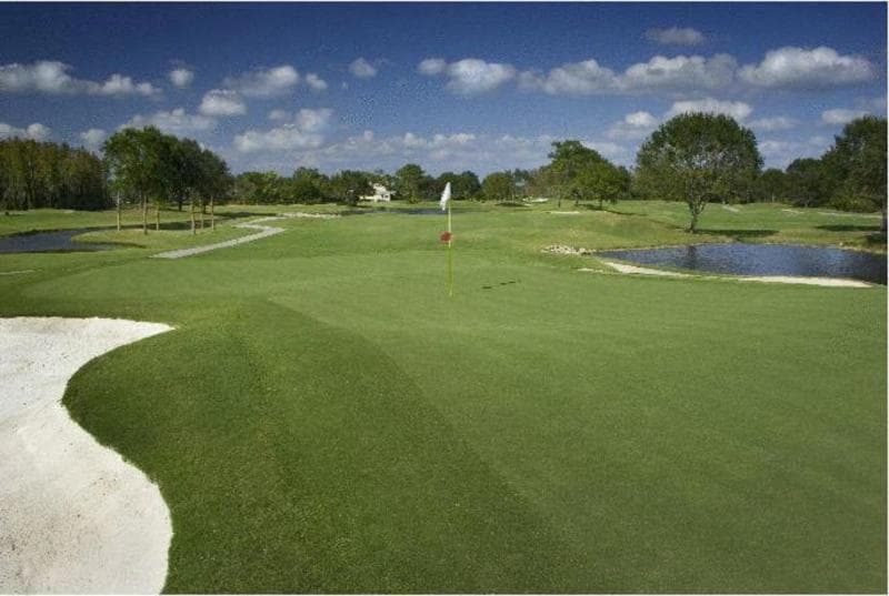 Saddlebrook Resort Tampa